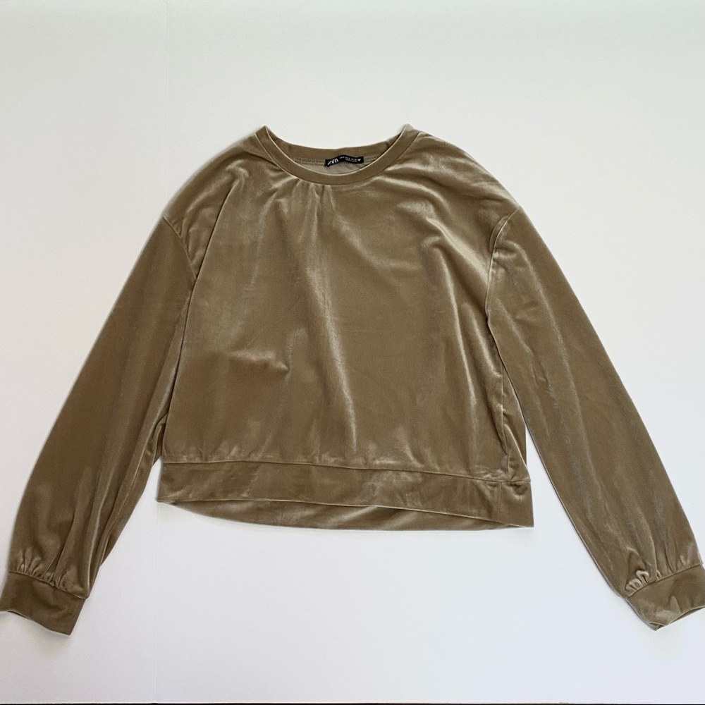 Zara Light Khaki Velvet Sweatshirt: size small
